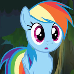 Size: 589x589 | Tagged: safe, imported from derpibooru, screencap, rainbow dash, pegasus, pony, daring don't, :o, cropped, female, mare, open mouth, solo