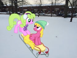 Size: 3264x2448 | Tagged: safe, artist:cloudy glow, artist:cloudyglow, artist:topsangtheman, imported from derpibooru, cherry berry, daisy, flower wishes, earth pony, pony, hill, irl, park, photo, ponies in real life, sled, snow