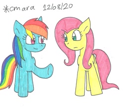 Size: 1202x1048 | Tagged: safe, artist:cmara, imported from derpibooru, fluttershy, rainbow dash, pegasus, pony, duo, female, mare, raised hoof, simple background, traditional art, white background