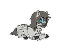 Size: 916x682 | Tagged: safe, artist:anelaponela, imported from derpibooru, oc, pony, zebra, ear fluff, looking at you, male, simple background, smiling, teeth, transparent background