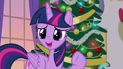 Size: 1920x1080 | Tagged: safe, imported from derpibooru, screencap, twilight sparkle, alicorn, pony, the hearth's warming club, christmas, christmas tree, female, holiday, mare, solo, tree, twilight sparkle (alicorn)