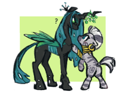 Size: 300x221 | Tagged: safe, artist:fizpup, imported from derpibooru, queen chrysalis, zecora, changeling, changeling queen, zebra, cute, cutealis, ear piercing, earring, female, jewelry, mare, mistletoe, neck rings, piercing, quadrupedal, question mark, shipping, size difference, this will end in kisses, zecorable, zecoralis