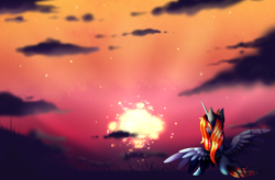 Size: 3970x2602 | Tagged: safe, artist:minelvi, imported from derpibooru, oc, oc only, alicorn, pony, alicorn oc, cloud, horn, outdoors, solo, sunset, wings