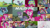 Size: 2000x1125 | Tagged: safe, edit, edited screencap, editor:quoterific, imported from derpibooru, screencap, applejack, fluttershy, gummy, maud pie, opalescence, owlowiscious, pinkie pie, rainbow dash, rarity, tank, twilight sparkle, winona, alicorn, spider, maud pie (episode), collage, mane six, train, twilight sparkle (alicorn)