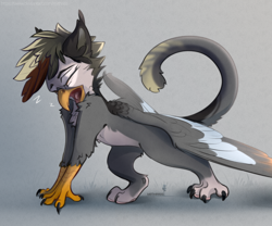 Size: 3000x2500 | Tagged: safe, artist:mithriss, imported from derpibooru, oc, oc only, griffon, chest fluff, eyes closed, griffon oc, open mouth, solo, spread wings, wings, yawn