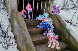 Size: 2048x1338 | Tagged: safe, imported from derpibooru, photographer:pakapaka1993, princess cadance, princess celestia, princess luna, tempest shadow, twilight sparkle, alicorn, unicorn, alicorn tetrarchy, irl, photo, plushie, twilight sparkle (alicorn)