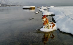 Size: 2048x1255 | Tagged: safe, imported from derpibooru, photographer:pakapaka1993, autumn blaze, kirin, irl, photo, plushie, snow, solo, water