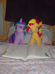 Size: 540x725 | Tagged: safe, artist:fluidty, artist:onlyfactory, imported from derpibooru, sunset shimmer, twilight sparkle, alicorn, unicorn, equestria girls, blanket, book, book bed, bootleg, glasses, photo, pillow, plushie