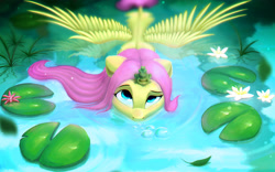 Size: 2939x1833 | Tagged: safe, artist:itssim, imported from derpibooru, fluttershy, frog, pegasus, pony, bubble, cute, female, in water, lilypad, looking up, mare, shyabetes, sitting on head, solo, spread wings, swamp, water, waterlily, wet, wet mane, wings