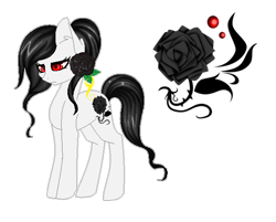 Size: 588x472 | Tagged: safe, artist:riariirii2, imported from derpibooru, oc, oc only, oc:dark rose, earth pony, pony, base used, earth pony oc, eyelashes, female, flower, mare, reference sheet, rose, simple background, solo, transparent background
