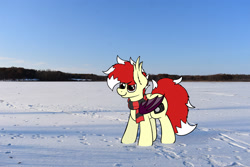 Size: 3000x2000 | Tagged: safe, artist:aaathebap, imported from derpibooru, oc, oc only, oc:aaaaaaaaaaa, bat pony, pony, bat pony oc, bat wings, clothes, cute, irl, male, photo, real life background, scarf, snow, solo, tail, wings, winter