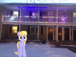 Size: 3264x2448 | Tagged: safe, artist:bluemeganium, artist:topsangtheman, imported from derpibooru, cloud kicker, pegasus, pony, christmas, christmas lights, holiday, house, irl, looking at you, photo, ponies in real life, snow, solo