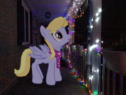 Size: 3272x2456 | Tagged: safe, artist:topsangtheman, imported from derpibooru, cloud kicker, pegasus, pony, augmented reality, christmas, christmas lights, gameloft, holiday, irl, photo, ponies in real life, solo