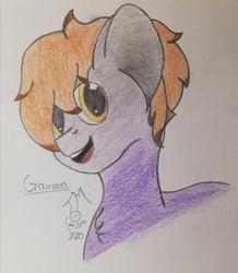 Size: 640x733 | Tagged: safe, artist:toli mintdrop, imported from derpibooru, oc, oc only, oc:gamma(tm), earth pony, pony, solo, traditional art