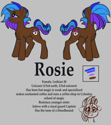 Size: 1920x2154 | Tagged: safe, artist:brainiac, derpibooru exclusive, imported from derpibooru, oc, oc only, oc:rose sniffer, oc:rosie, pony, unicorn, female, mare, reference sheet, solo