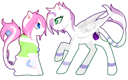 Size: 2600x1639 | Tagged: safe, artist:riariirii2, imported from derpibooru, oc, oc only, earth pony, pegasus, pony, clothes, earth pony oc, eyelashes, leonine tail, looking at each other, pegasus oc, raised hoof, simple background, transparent background, wings