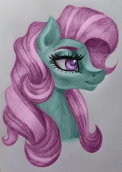 Size: 1120x1572 | Tagged: safe, artist:stormystica, imported from derpibooru, minty, earth pony, pony, bust, g3, portrait, profile, solo