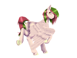 Size: 6000x4500 | Tagged: safe, artist:evgenya, imported from derpibooru, oc, oc only, pegasus, pony, female, pegasus oc, simple background, solo, wings