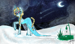 Size: 1700x1000 | Tagged: safe, artist:nayukiminase, imported from derpibooru, pony, unicorn, elsa, eyeshadow, frozen (movie), looking back, makeup, moon, night, ponified, shooting stars, snow, snowdrop (flower)