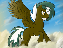 Size: 1290x984 | Tagged: safe, artist:lazymort, imported from derpibooru, oc, oc only, oc:kona, pegasus, pony, cloud, flying, male, sky, solo, stallion