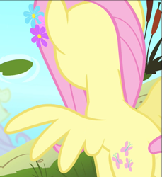 Size: 661x721 | Tagged: safe, imported from derpibooru, screencap, fluttershy, pegasus, pony, filli vanilli, butt, cropped, flower, flower in hair, flutterbutt, plot, pond, rear view, reflection, solo, spread wings, wings