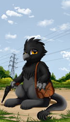 Size: 3000x5159 | Tagged: safe, artist:pridark, imported from derpibooru, oc, oc only, oc:jim, griffon, absurd resolution, commission, glasses, griffon oc, gun, handgun, high res, looking at you, male, outdoors, power line, revolver, shoulder bag, sitting, smiling, smiling at you, solo, weapon