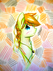 Size: 1920x2560 | Tagged: safe, artist:stardust0130, imported from derpibooru, oc, oc only, oc:swift stride, earth pony, pony, braided ponytail, bust, male, solo, stallion, traditional art