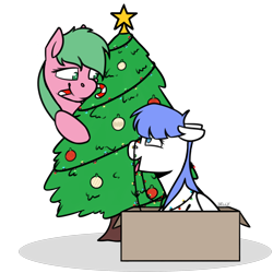 Size: 2200x2200 | Tagged: safe, artist:jellysiek, artist:jellysketch, imported from derpibooru, oc, oc only, oc:pine berry, oc:snow pup, earth pony, pegasus, pony, behaving like a dog, box, candy, candy cane, christmas, christmas lights, christmas tree, commission, female, floppy ears, food, happy, holiday, looking at each other, looking down, looking up, mare, mouth hold, ornament, panting, simple background, sitting, smiling, stars, tongue out, transparent background, tree