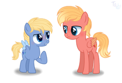 Size: 1280x870 | Tagged: safe, artist:purplepotato04, imported from derpibooru, oc, oc only, oc:frenzy flame, oc:frosty flame, pegasus, pony, colt, male, simple background, teenager, transparent background