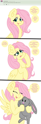 Size: 1288x3860 | Tagged: safe, artist:dreamy990, artist:nightydream, imported from derpibooru, fluttershy, pony, rabbit, series:ask fluttershy, animal, cute, shyabetes, solo