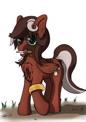 Size: 3541x5016 | Tagged: safe, artist:db, imported from derpibooru, oc, oc only, oc:red treasure, pegasus, pony, bracelet, chest fluff, gift art, jewelry, mouth hold, pegasus oc, pencil, simple background, solo, transparent background, wings