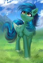 Size: 2500x3700 | Tagged: safe, artist:hakaina, imported from derpibooru, oc, oc only, oc:distant skies, pegasus, pony, chest fluff, commission, looking up, scenic background, solo, two toned mane, two toned wings, unshorn fetlocks, wings, ych result