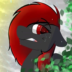 Size: 1640x1640 | Tagged: safe, artist:dicemarensfw, imported from derpibooru, oc, oc only, oc:dicemare, pegasus, pony, black and red hair, black and red mane, eye lashes, female, floppy ears, grey oc, long hair, mare, mouth, photo, rain, solo, solo mare, teeth, wings