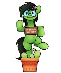 Size: 1240x1500 | Tagged: safe, artist:sugar morning, edit, imported from derpibooru, oc, oc only, oc:prickly pears, cactuar, cactus, flower, flower in hair, glasses, looking at you, mole, sign, simple background, stare, transparent background, vase
