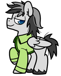 Size: 800x1000 | Tagged: safe, artist:paperbagpony, imported from derpibooru, oc, oc:silver circuit, pegasus, derpibooru community collaboration, 2021 community collab, clothes, male, pegasus oc, shirt, simple background, transparent background, unshorn fetlocks, wings