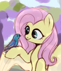 Size: 923x1080 | Tagged: safe, artist:laymy, imported from derpibooru, fluttershy, bird, pegasus, pony, bust, colored sketch, cute, female, holding, looking at something, mare, raised hoof, shyabetes, sketch, smiling, solo, spread wings, that pony sure does love animals, three quarter view, wings