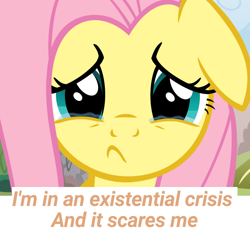 Size: 1000x944 | Tagged: safe, imported from derpibooru, fluttershy, pegasus, crying, existential crisis