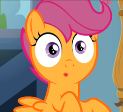 Size: 776x706 | Tagged: safe, imported from derpibooru, screencap, scootaloo, pegasus, pony, the last crusade, :o, cropped, cute, cutealoo, female, filly, open mouth, solo, surprised