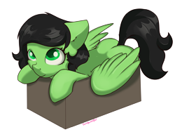 Size: 4000x3001 | Tagged: source needed, safe, artist:dumbwoofer, imported from ponybooru, oc, oc:filly anon, pegasus, pony, behaving like a cat, box, butt, cute, female, filly, looking at you, mare, plot, simple background, solo, transparent background