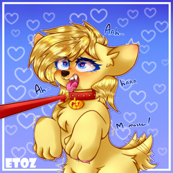 Size: 800x800 | Tagged: source needed, safe, artist:etoz, imported from derpibooru, oc, oc only, oc:amber bright, dog, earth pony, bust, chest fluff, collar, commission, ear fluff, heart eyes, leash, leg fluff, open mouth, pet tag, tail wag, tongue out, wingding eyes, ych result