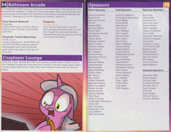 Size: 3279x2531 | Tagged: safe, imported from derpibooru, oc, oc:mane event, bronycon, bronycon 2013, bronycon 2013 con book