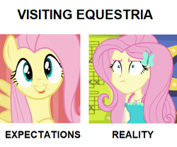 Size: 500x413 | Tagged: safe, edit, imported from derpibooru, screencap, fluttershy, pegasus, pony, equestria girls, equestria girls series, fluttershy's butterflies, putting your hoof down, bust, c:, cropped, cute, episode needed, expectation vs reality, faic, female, fluttershy is not amused, fluttershy's butterflies: rainbow dash, geode of fauna, hairpin, happy, looking at you, magical geodes, mare, open mouth, raised hoof, simple background, smiling, solo, spread wings, unamused, white background, wings