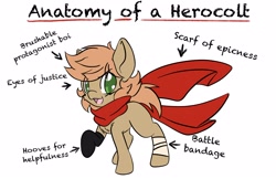 Size: 2538x1645 | Tagged: safe, artist:larrykitty, artist:php156, imported from derpibooru, oc, oc only, oc:himmel, earth pony, pony, anatomy, anatomy guide, bandage, clothes, cute, earth pony oc, gloves, looking at you, scarf, simple background, white background