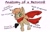 Size: 2538x1645 | Tagged: safe, artist:larrykitty, artist:php156, imported from derpibooru, oc, oc only, oc:himmel, earth pony, pony, anatomy, anatomy guide, bandage, clothes, cute, earth pony oc, gloves, looking at you, scarf, simple background, white background