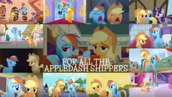 Size: 1280x721 | Tagged: safe, artist:quoterific, edit, edited screencap, editor:quoterific, imported from derpibooru, screencap, applejack, bon bon, cloud kicker, coco crusoe, doctor whooves, rainbow dash, sweetie drops, time turner, twilight sparkle, earth pony, pegasus, unicorn, applebuck season, castle mane-ia, fall weather friends, friendship is magic, make new friends but keep discord, non-compete clause, over a barrel, rarity takes manehattan, swarm of the century, the crystal empire, the last problem, the saddle row review, appledash, bound wings, carousel boutique, castle of the royal pony sisters, collage, female, golden oaks library, lesbian, older, older applejack, older rainbow dash, shipping, unicorn twilight, wings