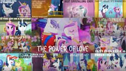 Size: 1280x720 | Tagged: safe, edit, edited screencap, editor:quoterific, imported from derpibooru, screencap, applejack, chickadee, hayseed turnip truck, ms. peachbottom, princess cadance, princess flurry heart, rarity, shining armor, a canterlot wedding, a flurry of emotions, best gift ever, games ponies play, once upon a zeppelin, season 2, season 3, season 5, season 7, season 9, slice of life (episode), the beginning of the end, the crystal empire, the crystalling, the one where pinkie pie knows, spoiler:s09, collage, element of generosity, element of honesty, female, male, shiningcadance, shipping, star flurry heart, straight