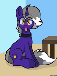 Size: 960x1280 | Tagged: safe, artist:doodle-hooves, imported from derpibooru, oc, oc only, oc:astro, pony, unicorn, chest fluff, collar, cute, looking at you, ocbetes, sitting, solo, table, tongue out