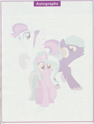 Size: 2480x3268 | Tagged: safe, imported from derpibooru, oc, oc:blank canvas, oc:hoof beatz, oc:mane event, bronycon, bronycon 2014, bronycon 2014 con book