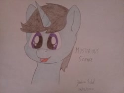 Size: 1280x960 | Tagged: safe, artist:nahuel731, artist:niënor, imported from derpibooru, oc, oc only, oc:mysterious science, pony, unicorn, blue skin, male, simple background, solo, traditional art, violet eyes
