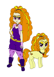 Size: 2476x3504 | Tagged: safe, artist:ewrrfb, imported from derpibooru, adagio dazzle, human, pony, unicorn, equestria girls, colored, duo, duo female, female, flat colors, human ponidox, jewelry, pendant, purple eyes, self ponidox, simple background, white background